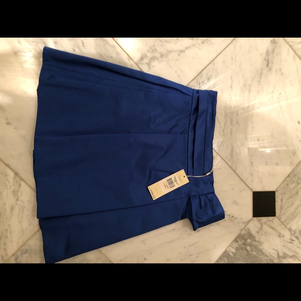 BCBGMaxazria Limited Runway Blue Silk skirt-size 2